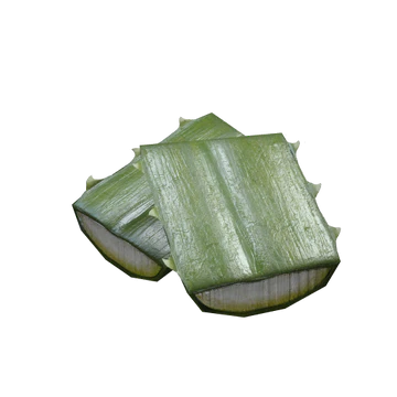 Agave