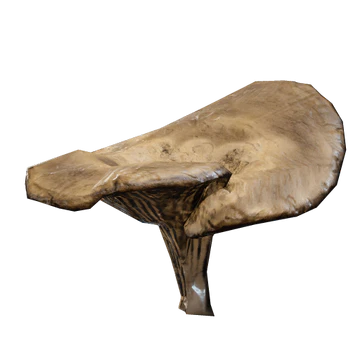 Mushroom